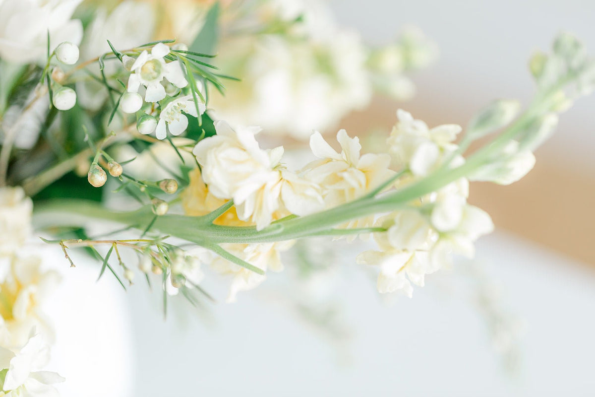 Neutral – Floret + Foliage