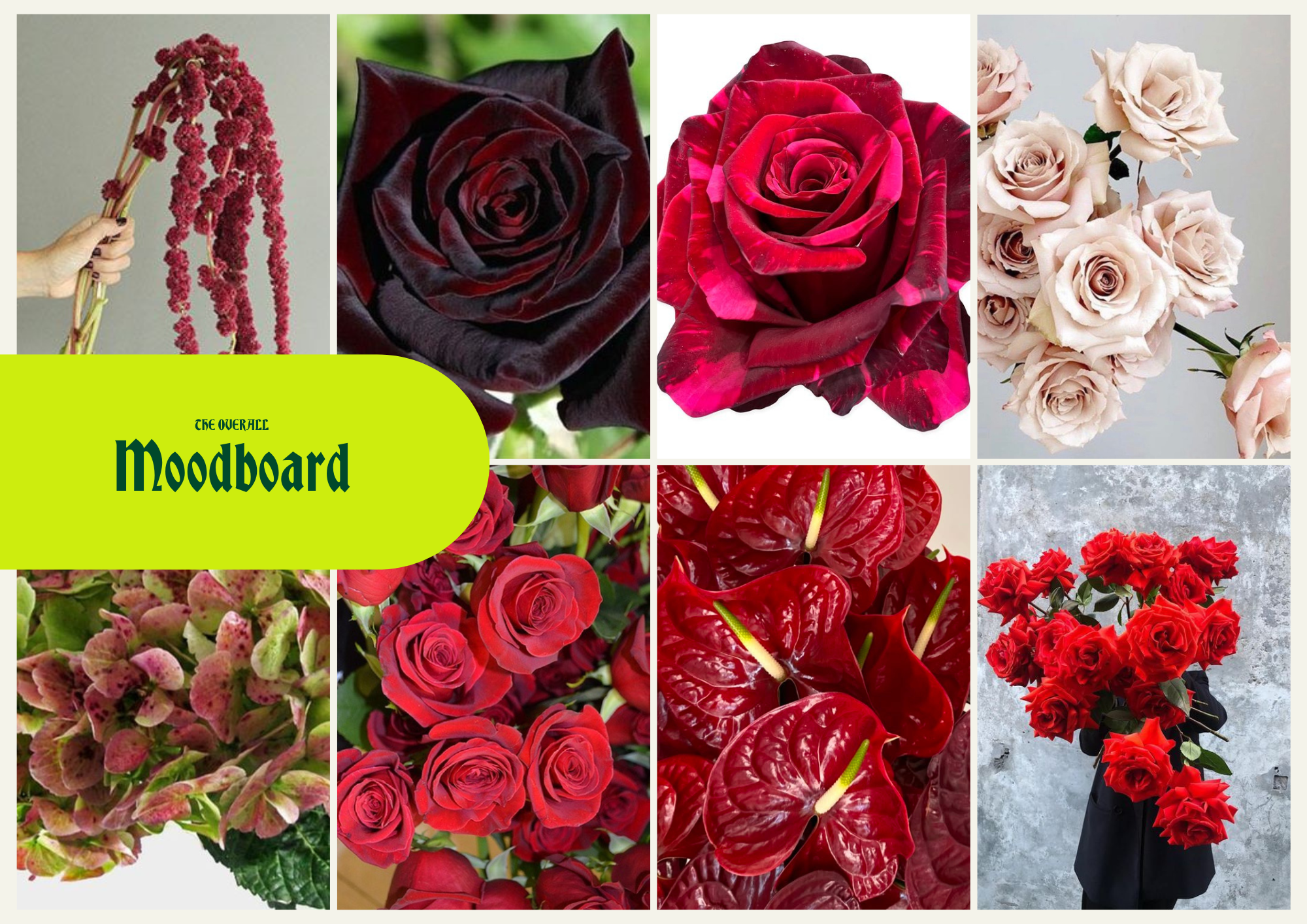 Tallest Love Valentine's Day Flowers 🌹