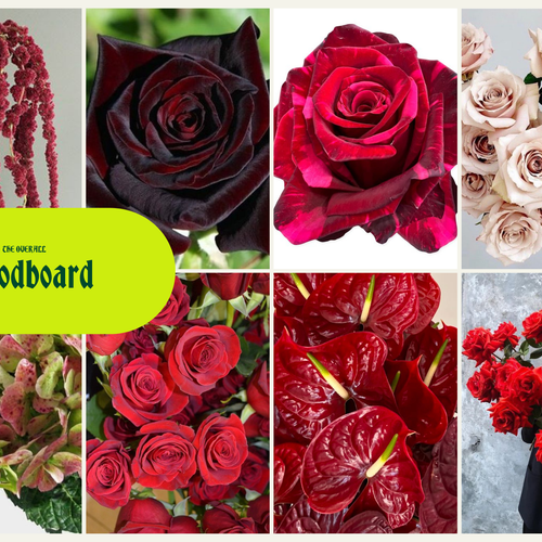 Tallest Love Valentine's Day Flowers 🌹