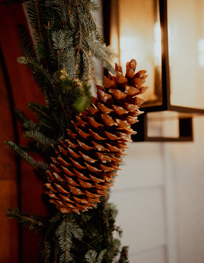 Fresh Holiday Garlands in Fargo, North Dakota  Floret + Foliage