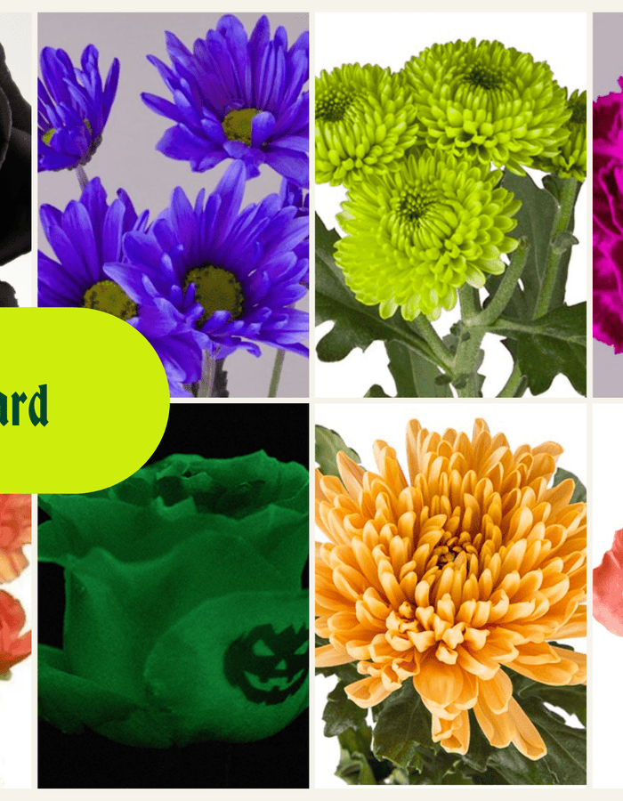 Halloween Flowers 🎃 - Floret + Foliage Flower delivery in Fargo, North Dakota