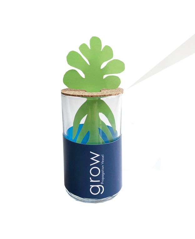 GROW Propagation Vessel - Small Potting Shed Creations Floret + Foliage