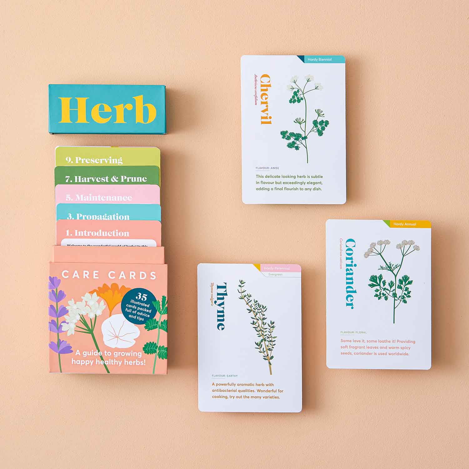 Herb Care Cards Another Studio for Design Ltd Floret + Foliage