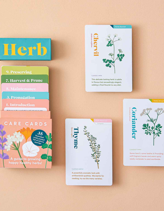 Herb Care Cards Another Studio for Design Ltd Floret + Foliage