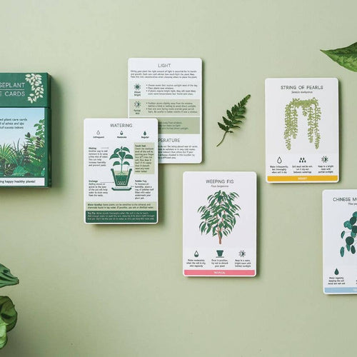 Houseplant Care Cards Another Studio for Design Ltd Floret + Foliage