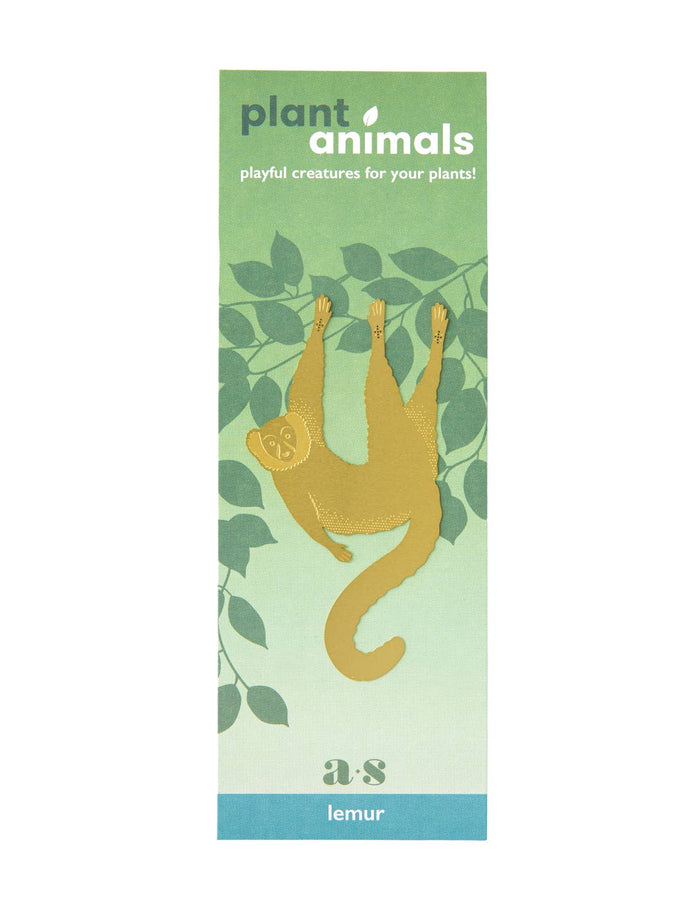 Plant Animal - Lemur - Floret + Foliage Flower delivery in Fargo, North Dakota