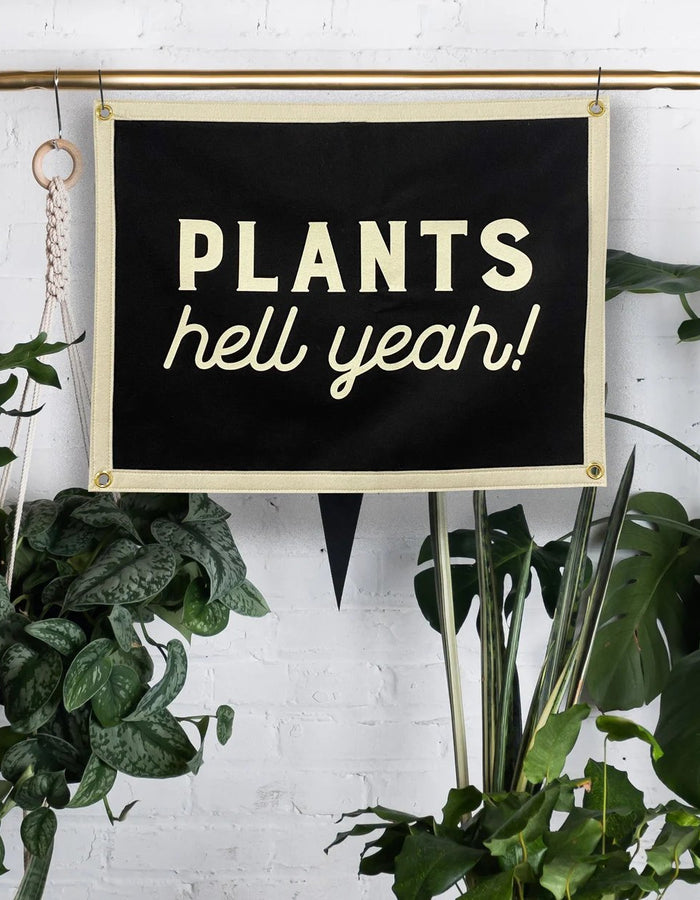 Plants Hell Yeah - Floret + Foliage Flower delivery in Fargo, North Dakota