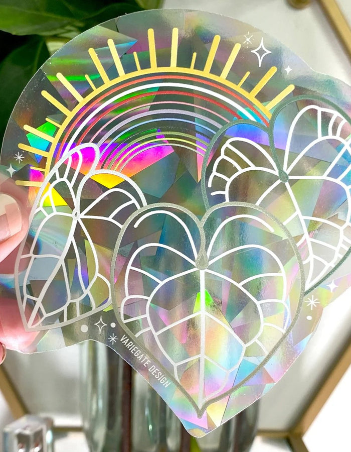 Rainbow Making Suncatcher | Anthurium Clarinervium Variegate Design Floret + Foliage