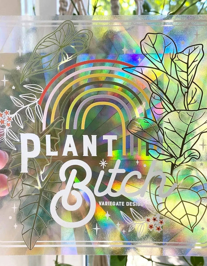 Rainbow Making Suncatcher | Plant Bitch Variegate Design Floret + Foliage