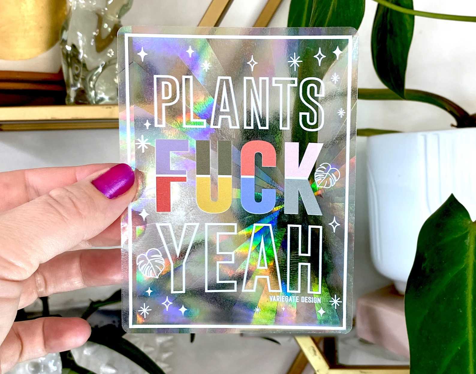 Rainbow Making Suncatcher | Plants Fuck Yeah Variegate Design Floret + Foliage