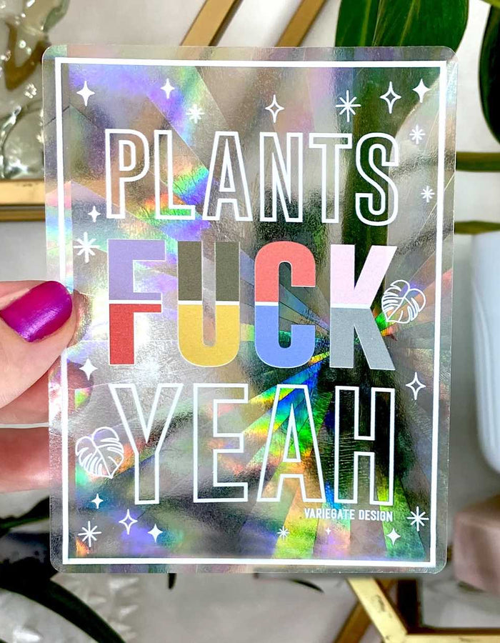 Rainbow Making Suncatcher | Plants Fuck Yeah Variegate Design Floret + Foliage