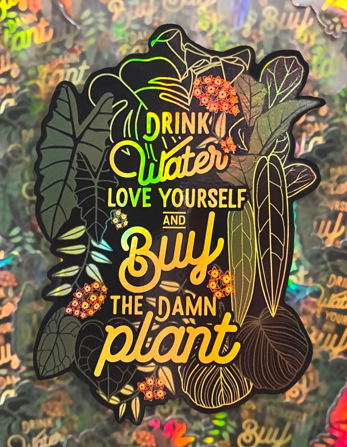 STICKER | Drink more water, love yourself, buy the damn plan Variegate Design Floret + Foliage